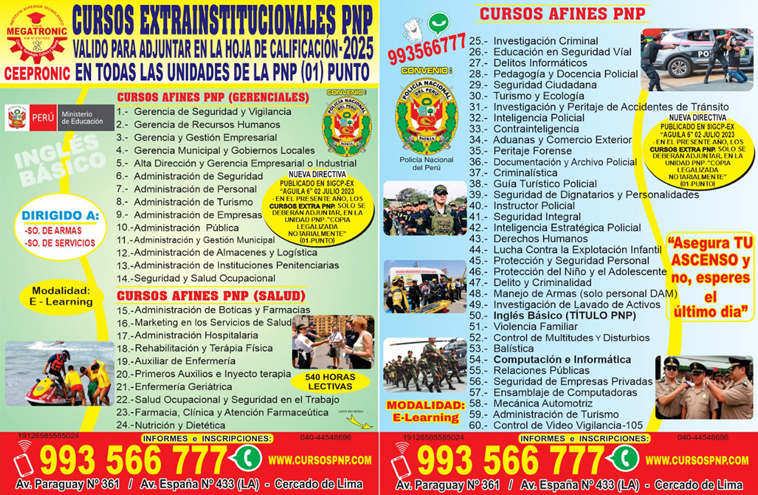 cursos online o presencial para policias en peru